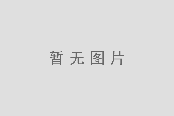 pet透明瓶吹瓶机-飞鸽友联